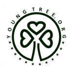 Fundacja YoungTree